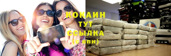 гашик Белокуриха